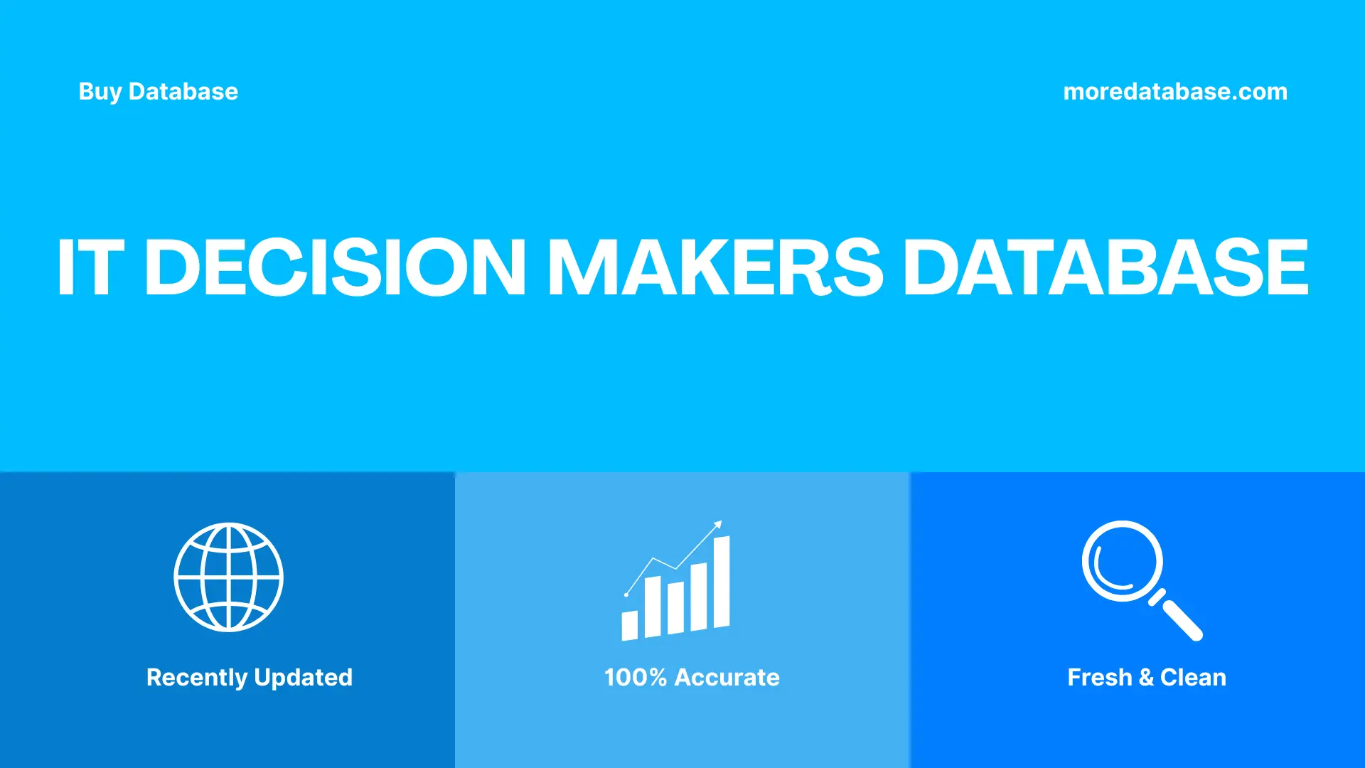 IT Decision Makers Database
